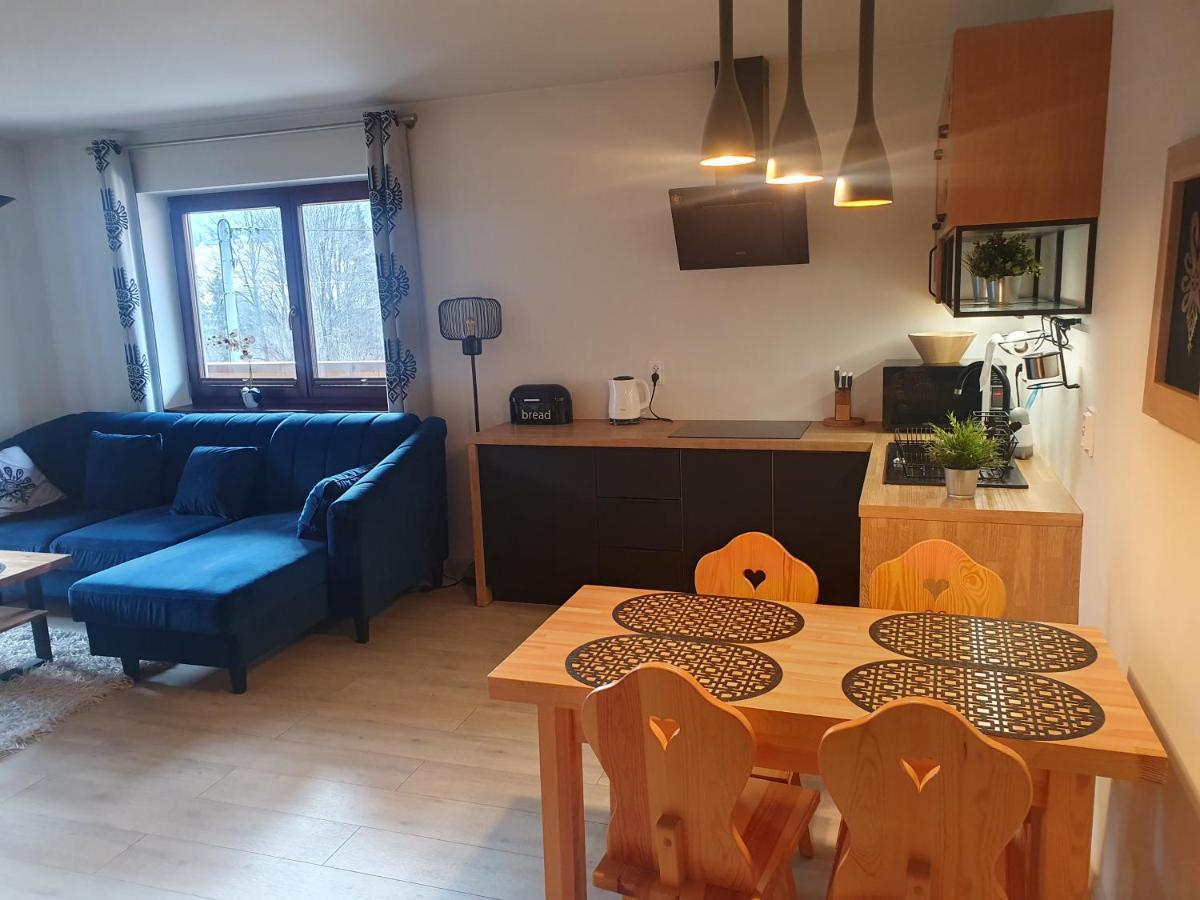 Apartament Sobiczkowa Zakopane Koscielisko Bagian luar foto