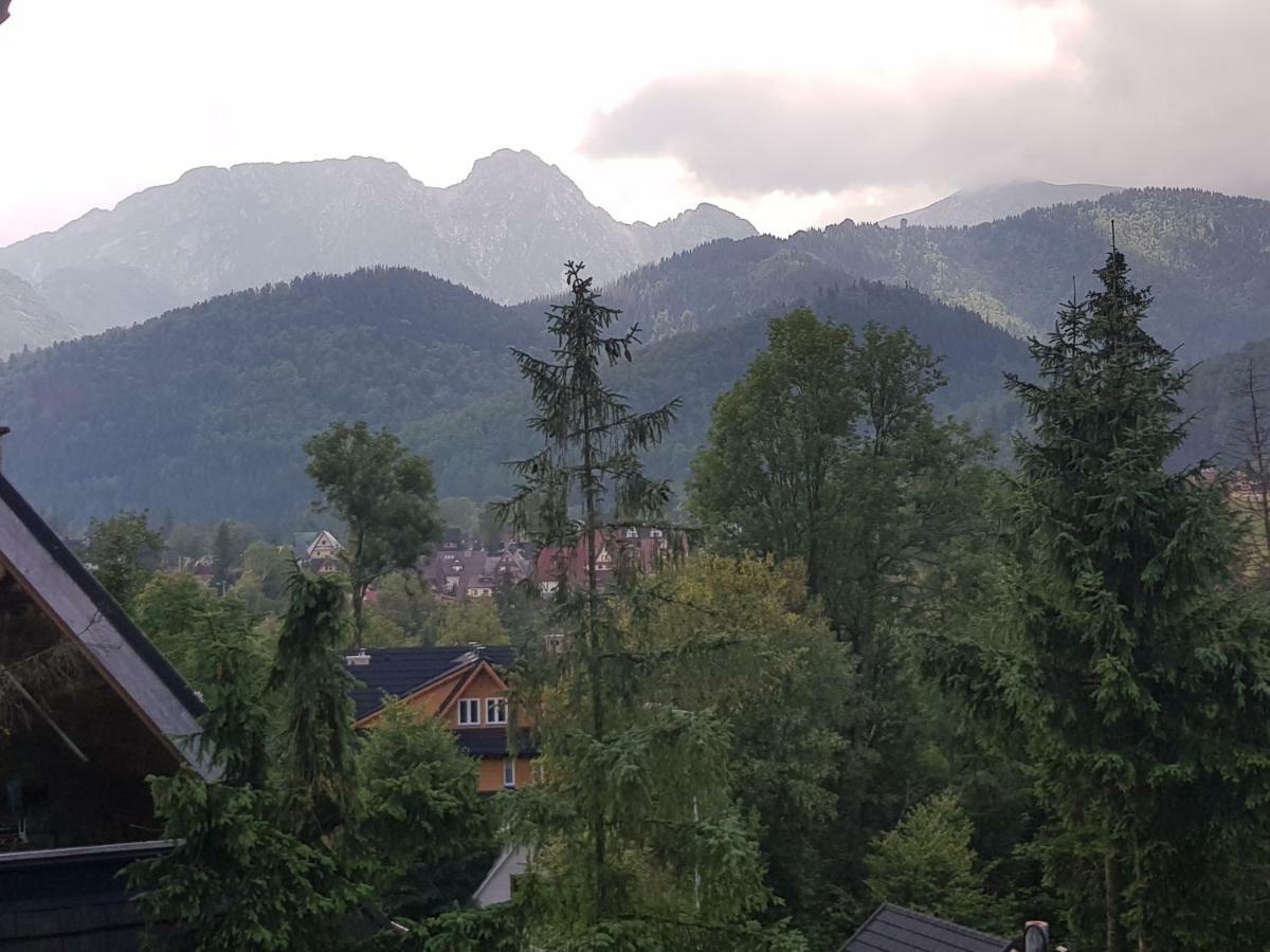Apartament Sobiczkowa Zakopane Koscielisko Bagian luar foto